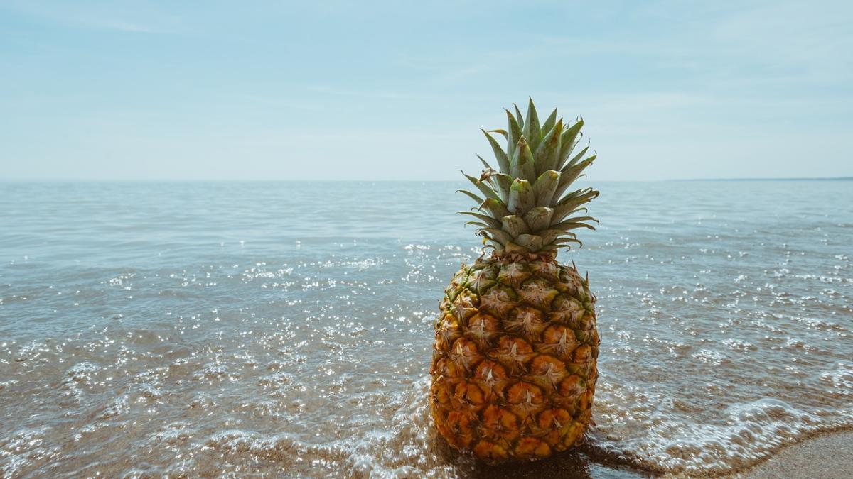 ananas-la-plaja_18325800