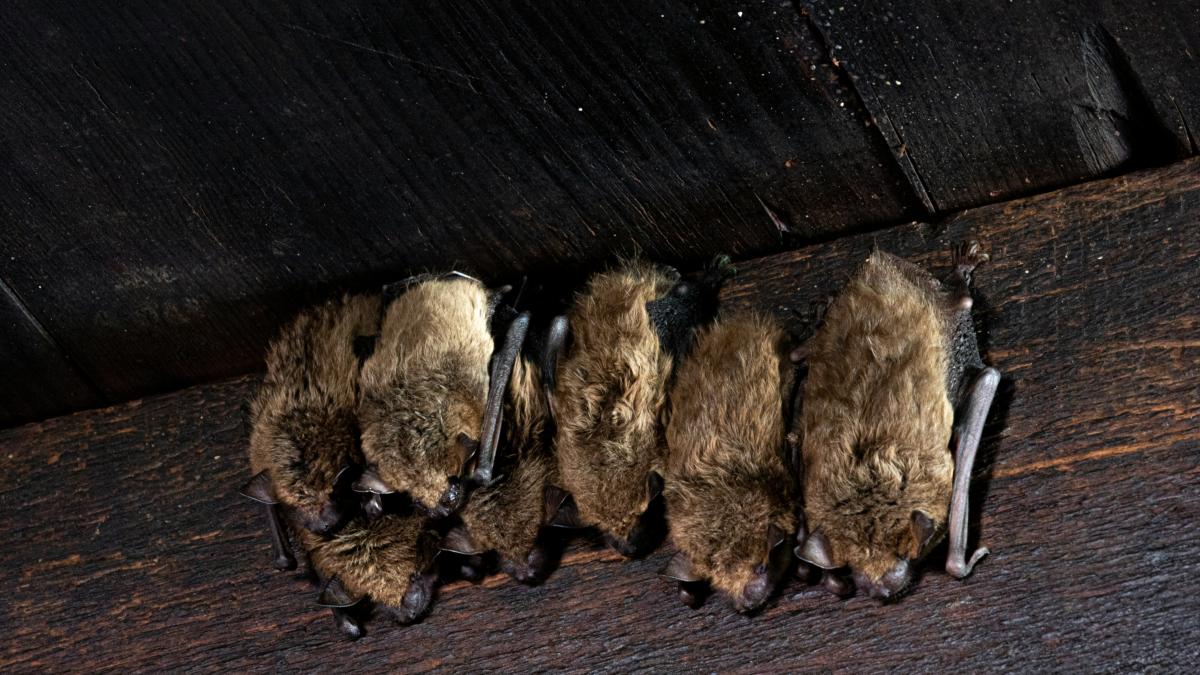 jody-confer-hjxu8bufgnc-unsplash_74013400