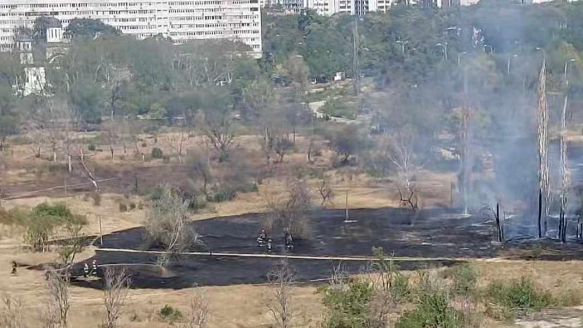 457874423_499706433016216_348998176747738699_n_87562300