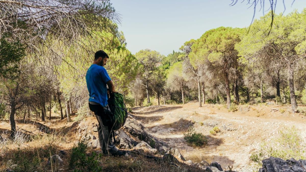 muncitor-roman-pe-campurile-din-italia-lucratori-italia-sicilia_25869200