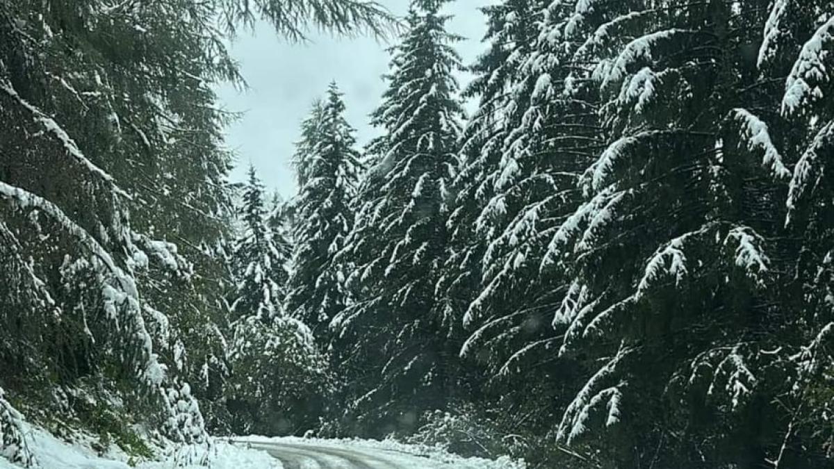 whatsapp-image-2024-09-14-at-13-32-12_72254600