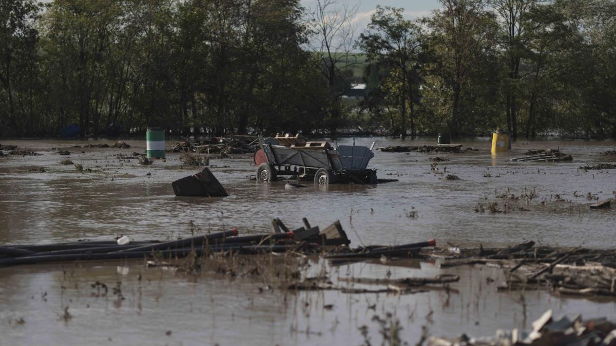 inundatii-galati-romania_53682600