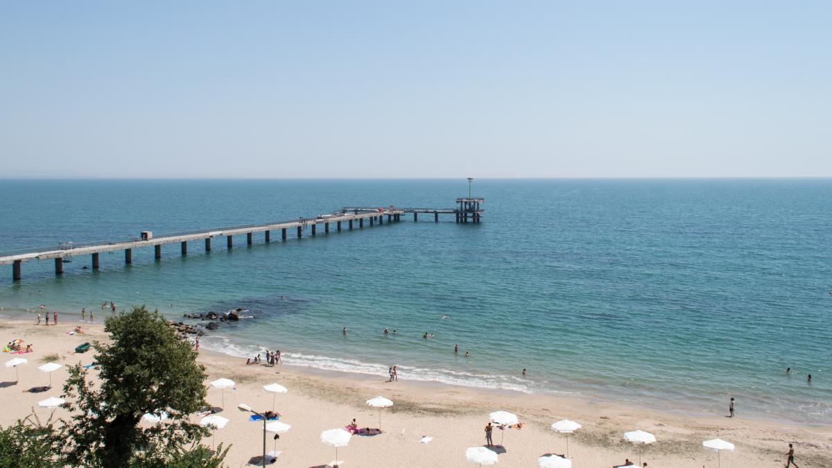 anton-nikolov-bno5sr1uqj4-unsplash