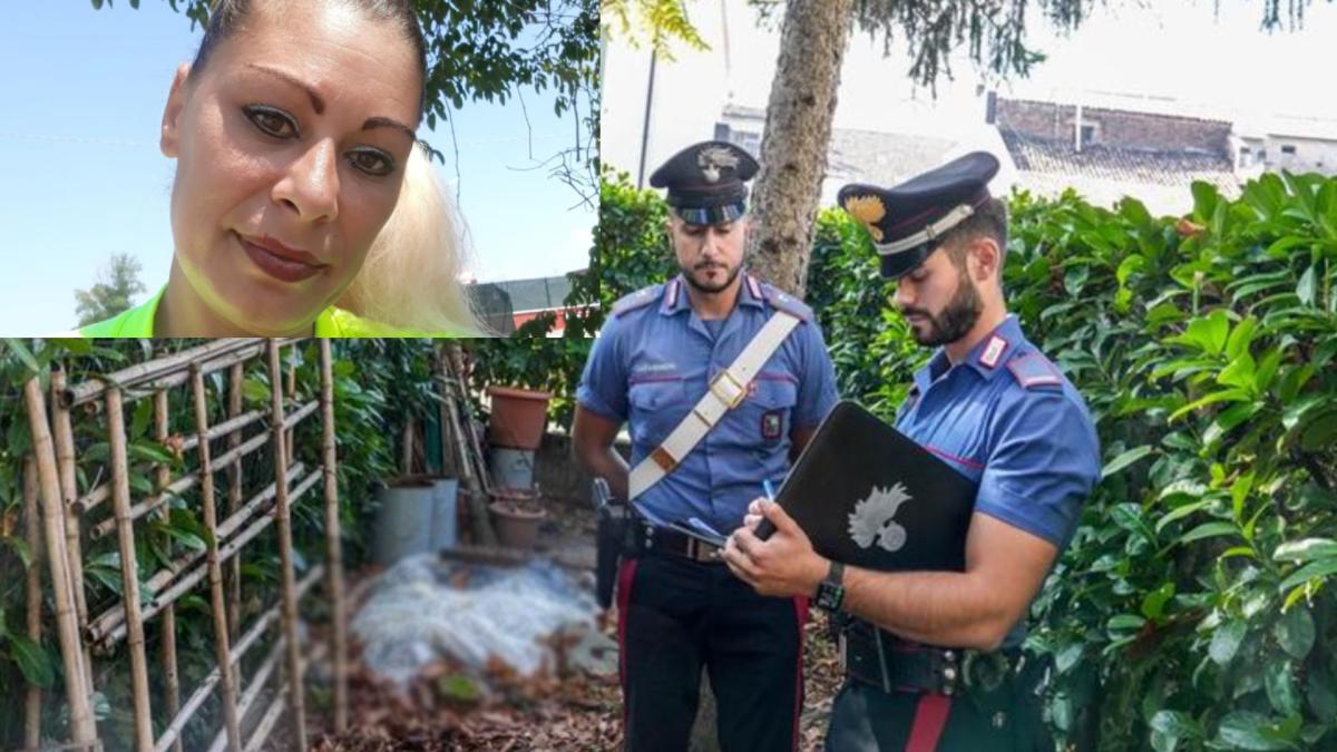 adolescentul-care-a-ucis-o-pe-maria-campai-a-marturisit-tot--cu-lux-de-amanunte--prc-e2prc-80prc-9eam-vrut-sa-vad-cum-se-simteprc-e2prc-80prc-9d_80773200