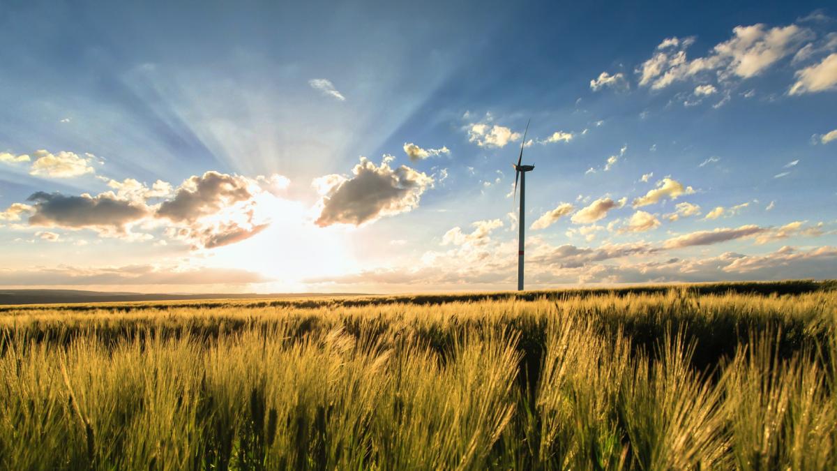 noi-recorduri-atinse-productia-de-energie-regenerabila--preturile-la-energie-in-spania-au-scazut-pana-aproape-de-zero_59098800