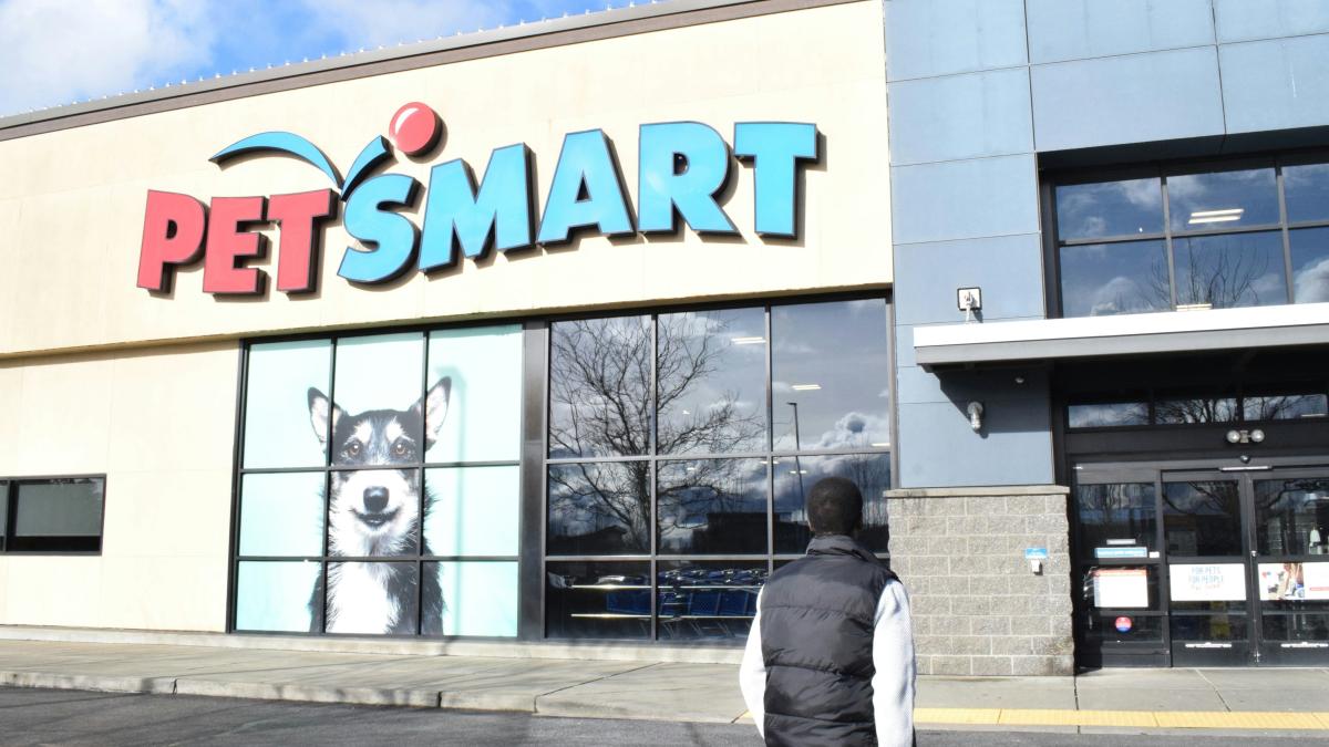 ennif-pendahl-wch_ov2_8a8-unsplash_66239600