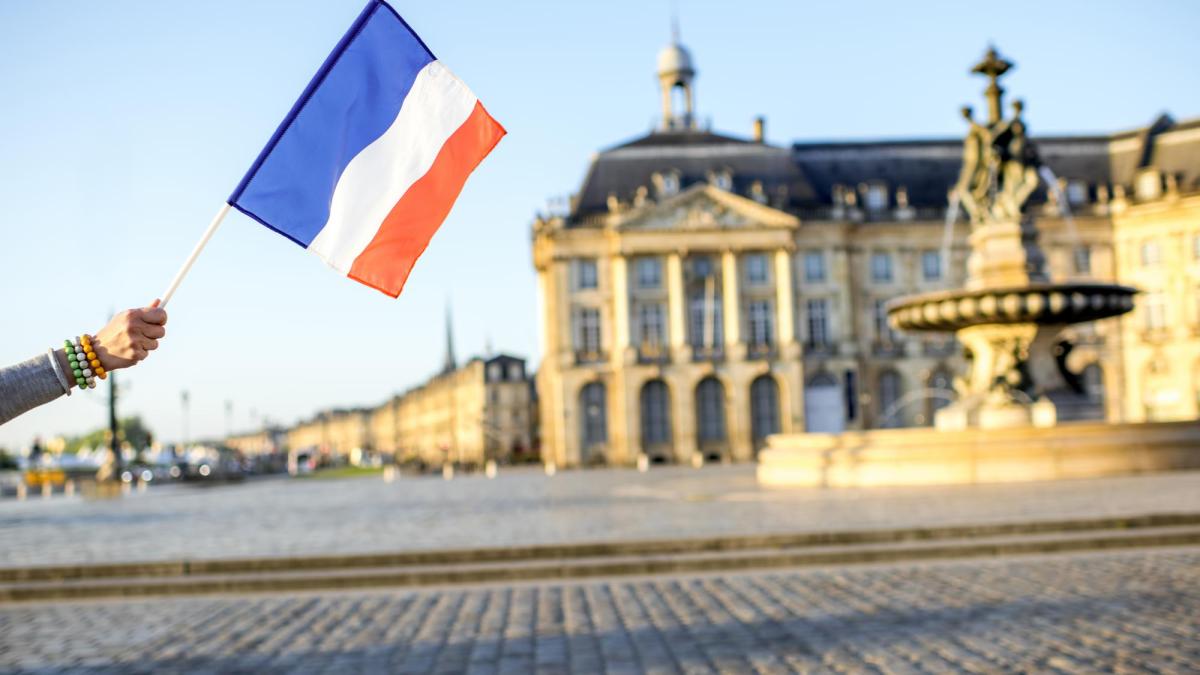 steag-franta-steag-cladire_88458300