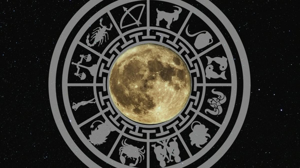 neven-krcmarek-3ym-ev0pe58-unsplash-1_33150500