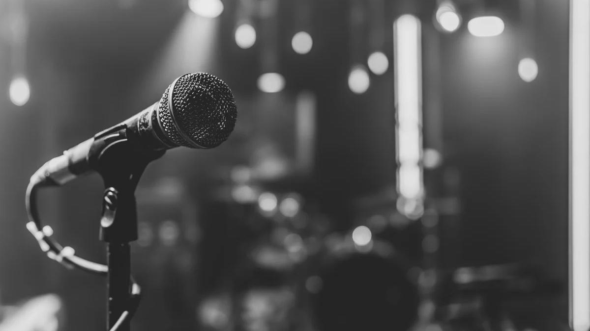 microfon_55638300_48312900