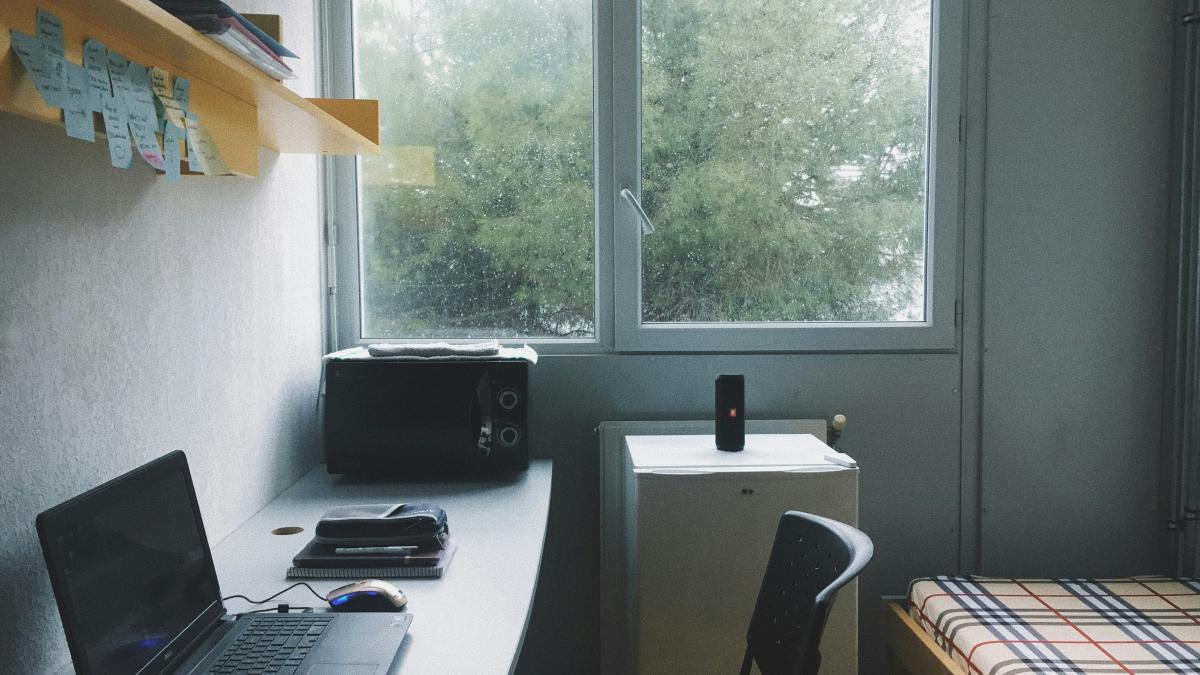 nguyen-dang-hoang-nhu-hhs_prvxsqk-unsplash_70649300