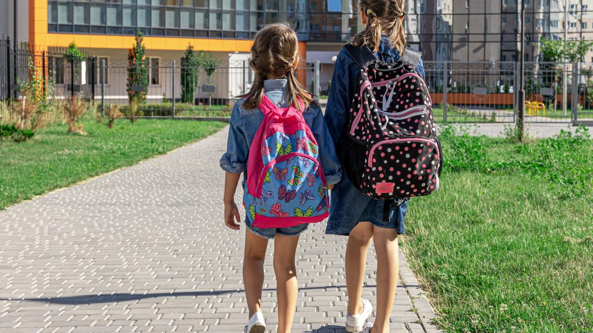 scoala-romaneasc-scoli-elevi-studenti_54756000