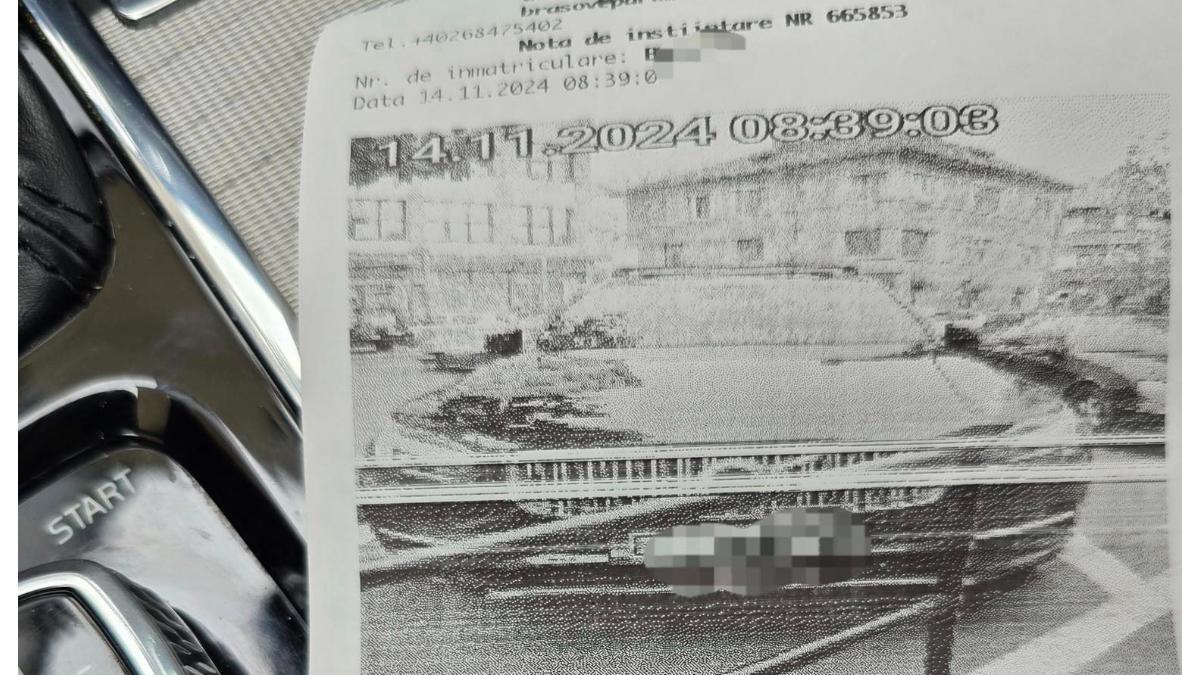 amenda-rutiera_19938100