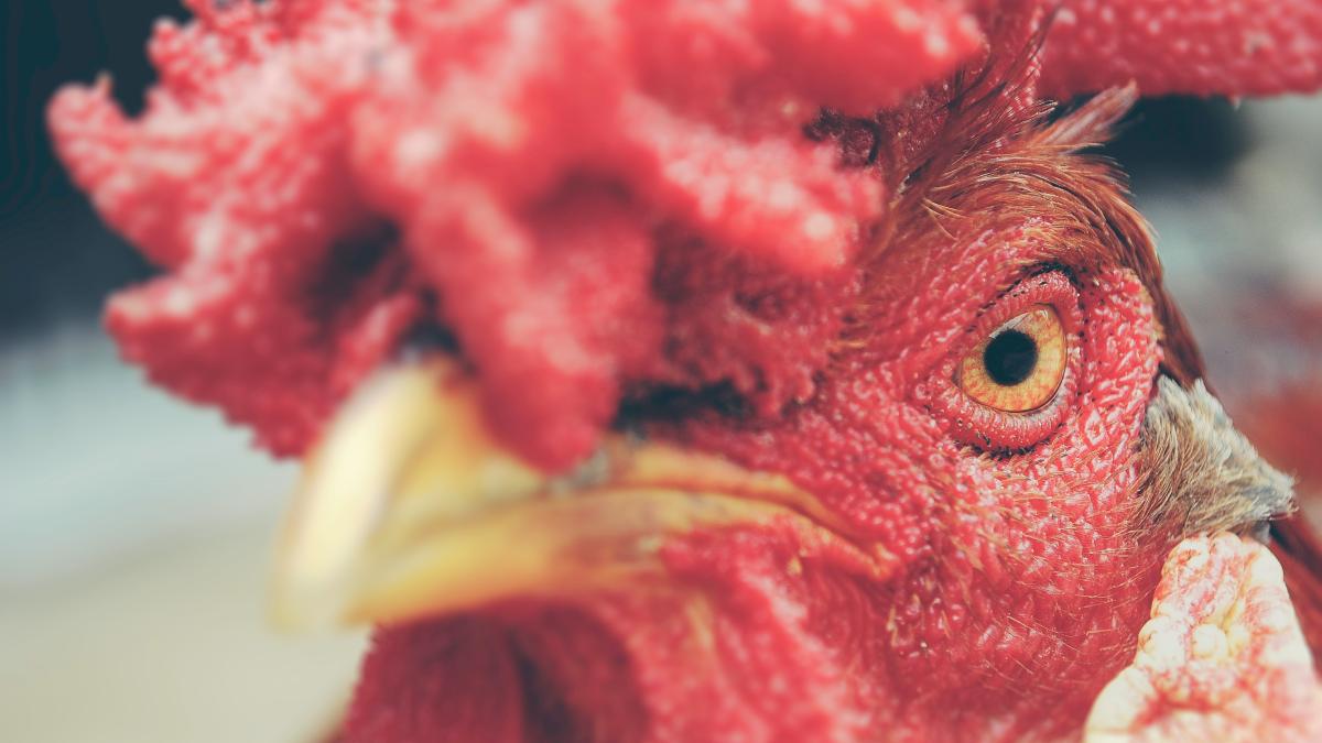 jairo-alzate-yarlzup-p8i-unsplash_98291900