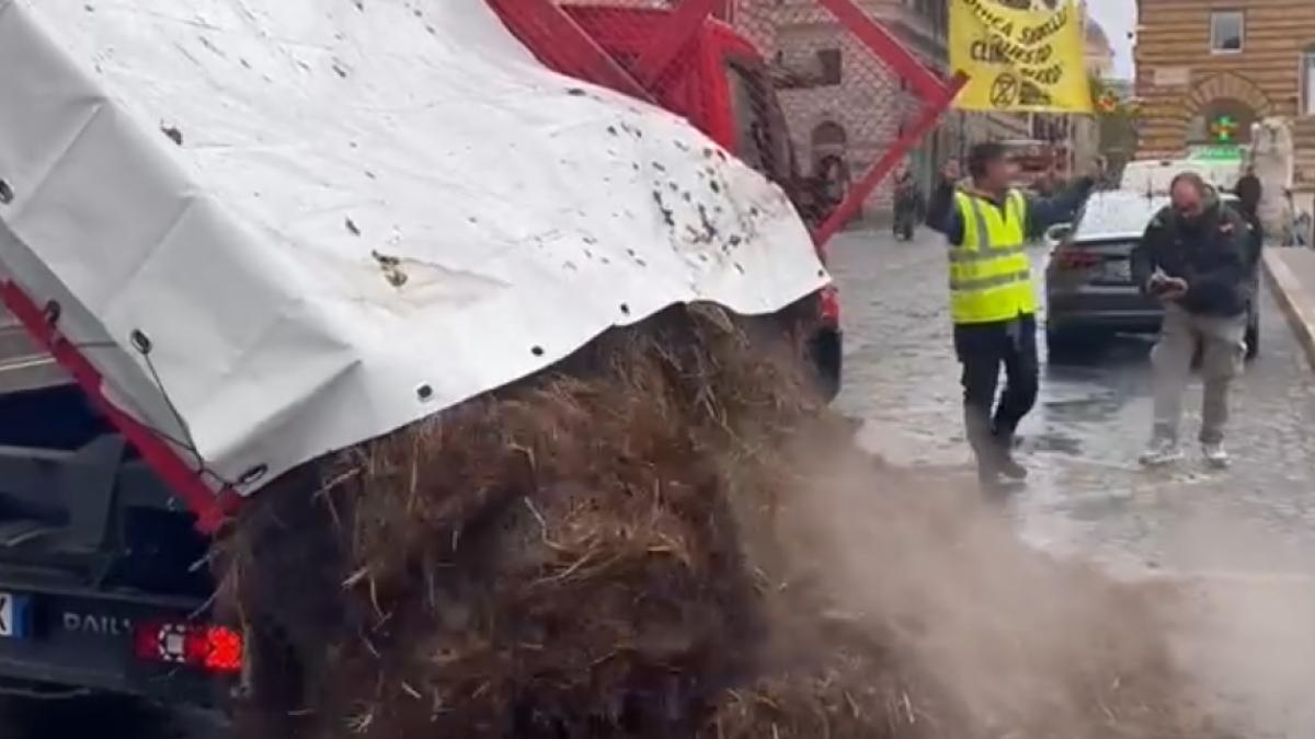 tineri-roma-balegar-ministerul-de-interne_89657800