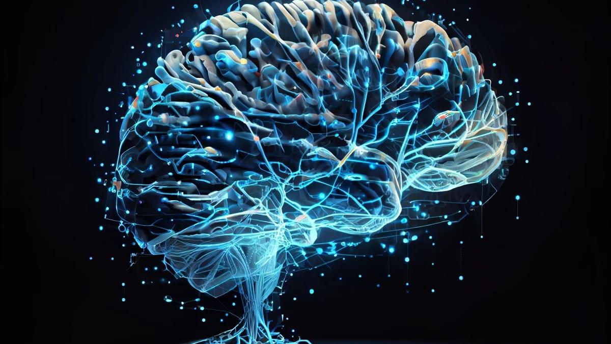 creier_93494000_12159500