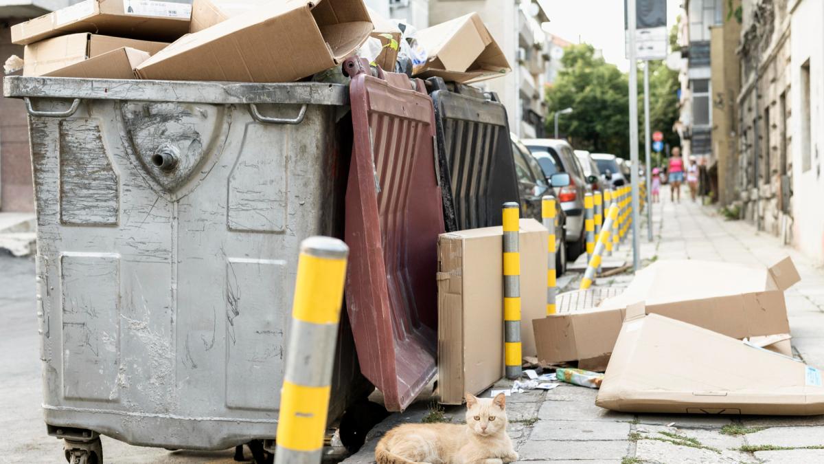 reguli-reciclare-germania_50689500