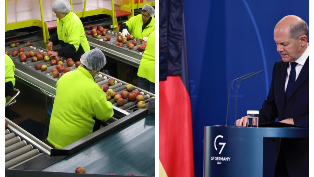 munca-in-germania_47464200