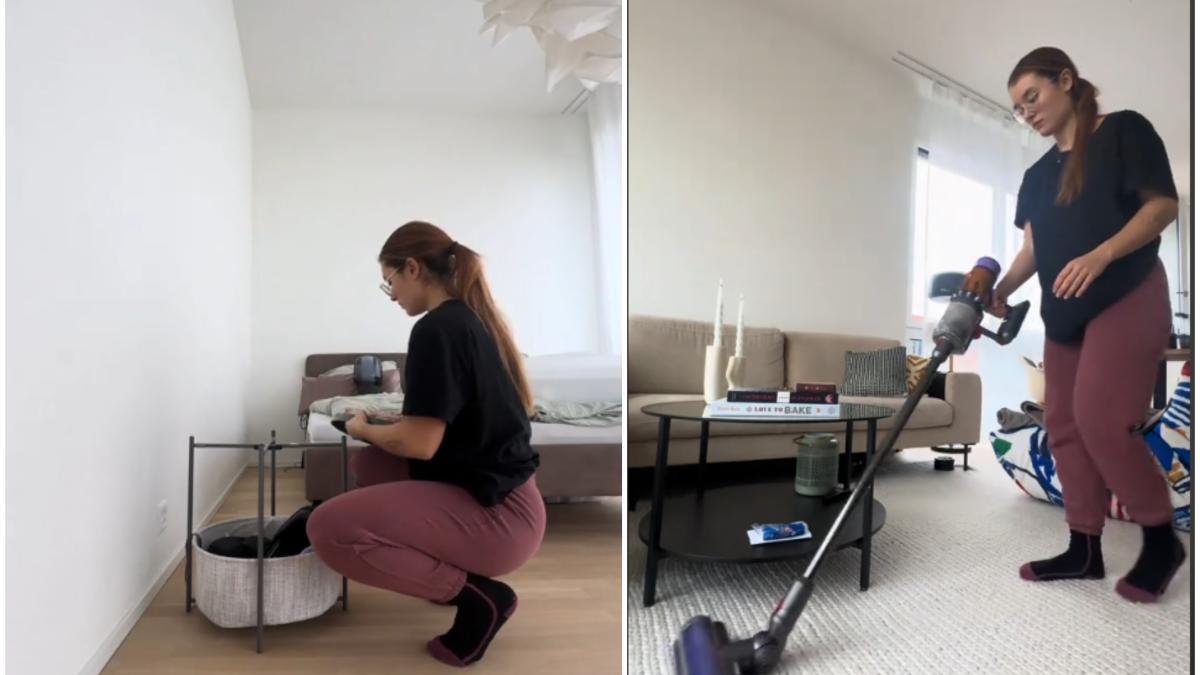 cat-se-castiga-la-curatenie-in-elvetia_39170700