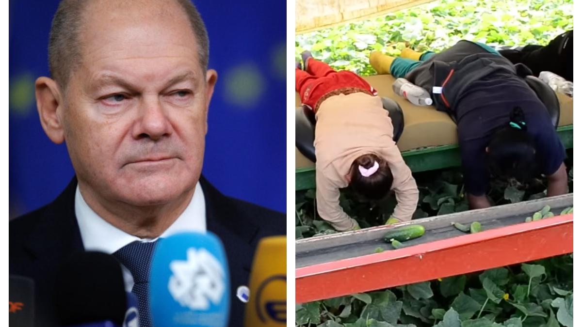 someri-germania_29949200