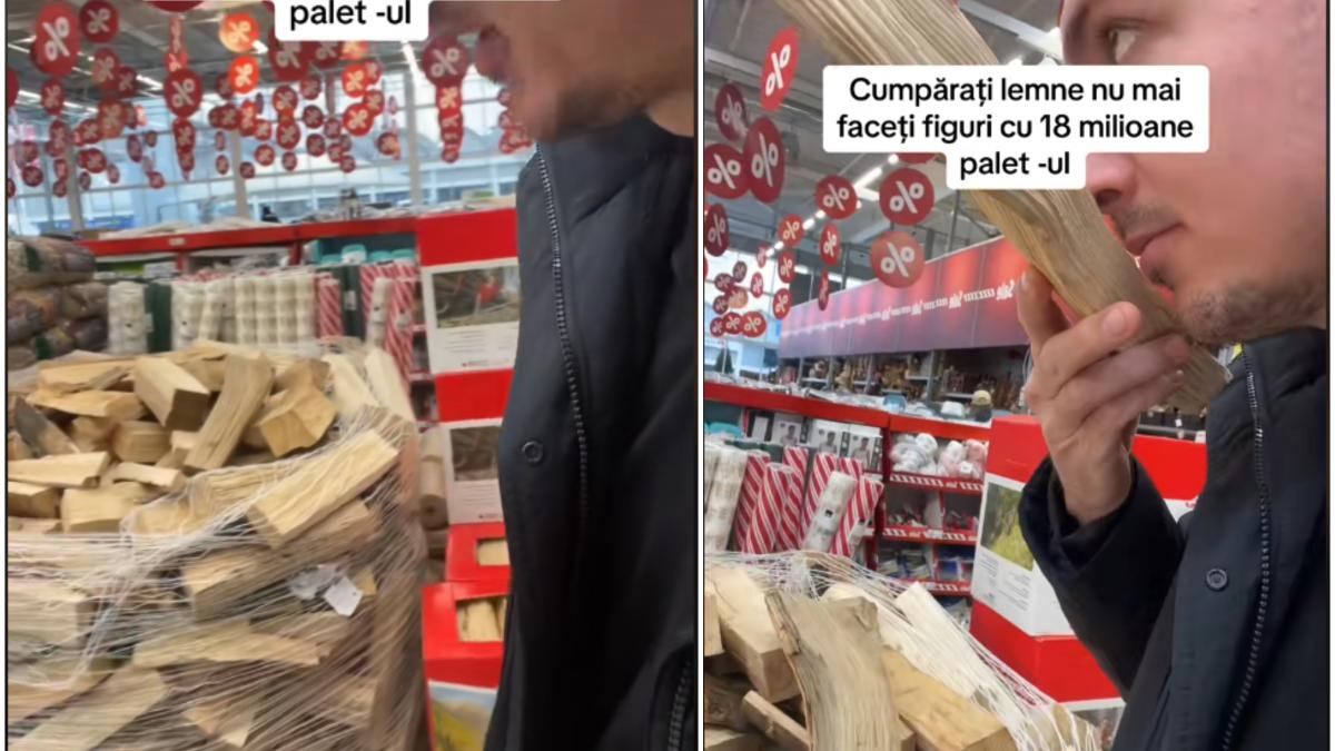 cat-costa-lemnele-in-elvetia_88500800