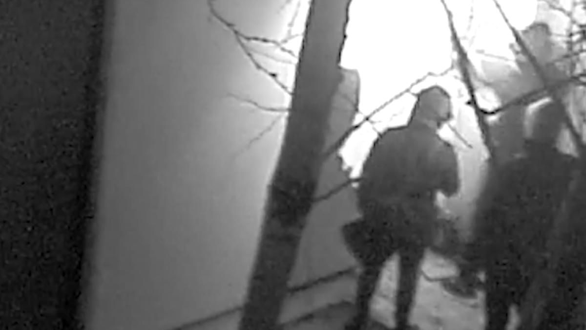 hoti-muzeu-tezaur-dacic_03965100