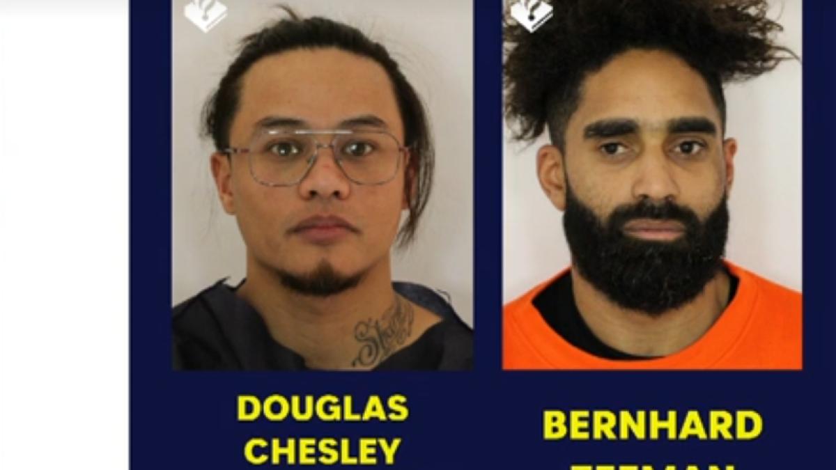 hoti-tezaur-dacic_44145400