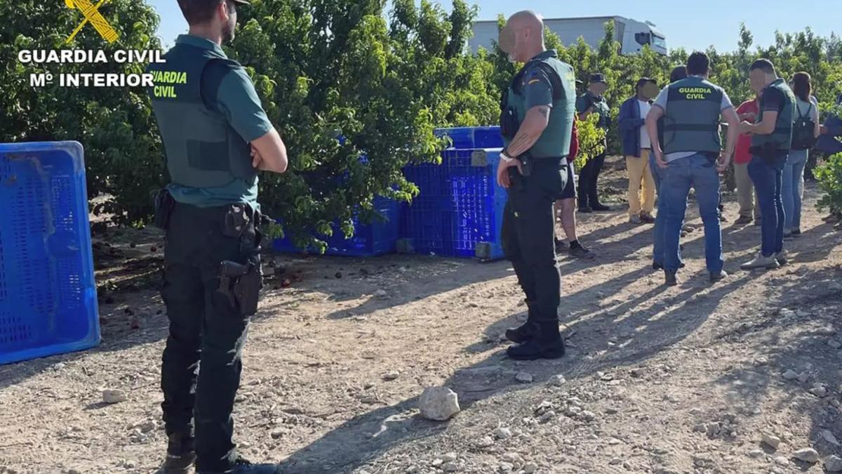 muncitori-romani-exploatati-spania_58882300