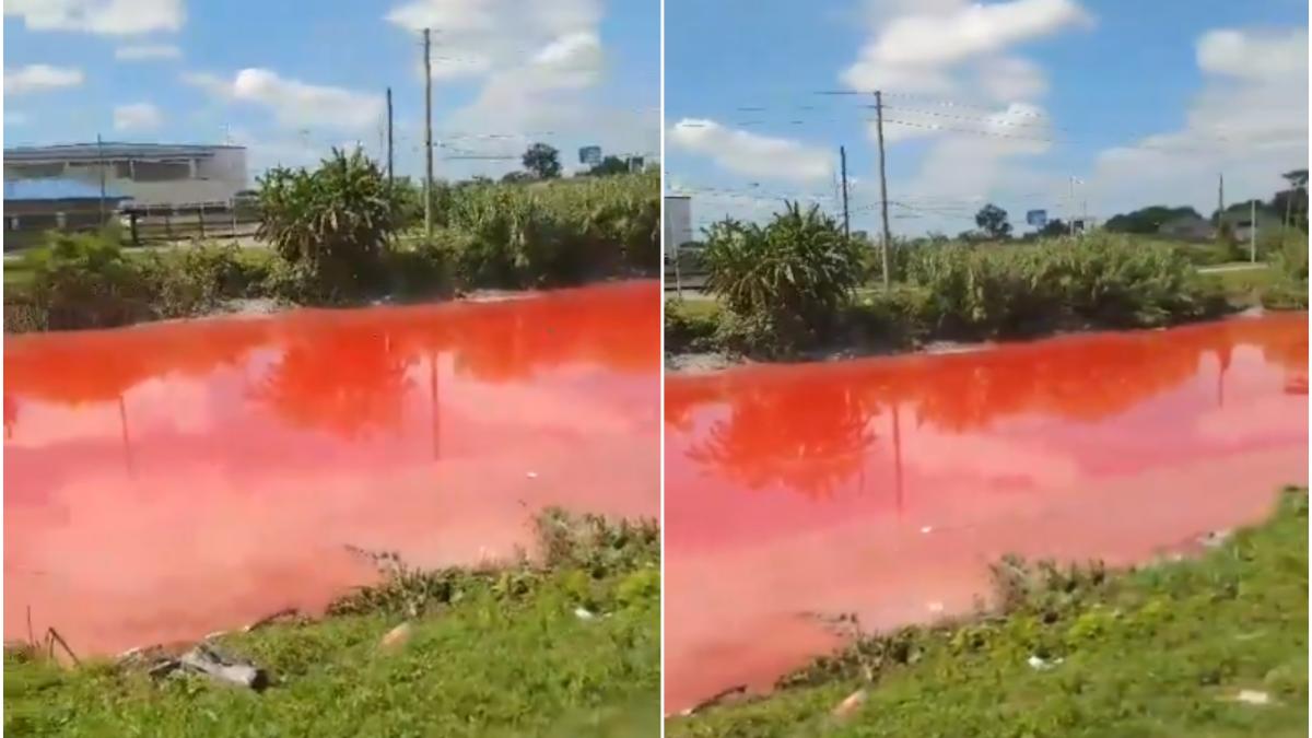 rau-rosu-argentina_93857200