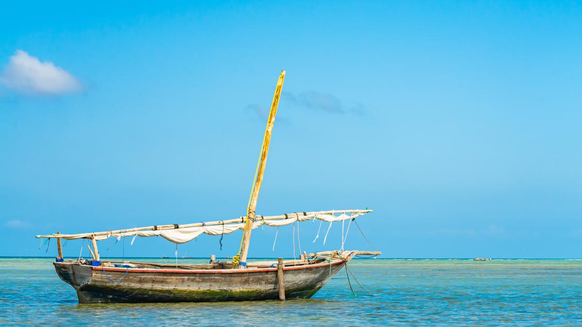 viata-in-zanzibar_61202400
