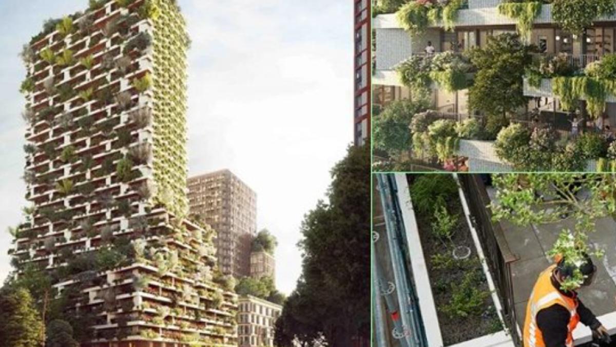 cersetori-romani-utrecht_68125900