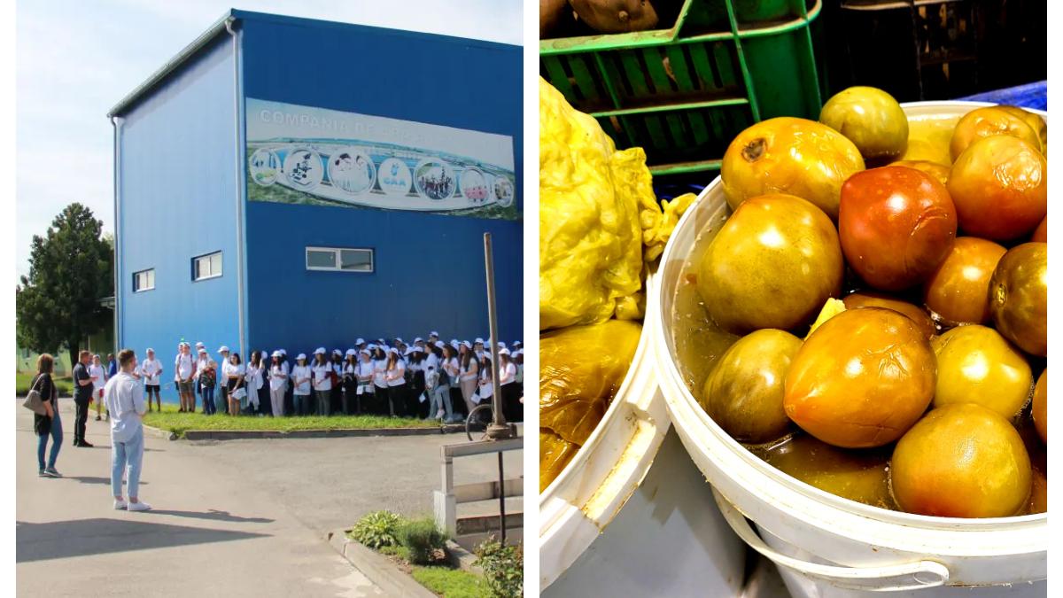 prime-muraturi_72387700