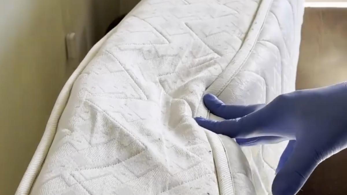 piedone-control-anpc-valea-prahovei_56896900