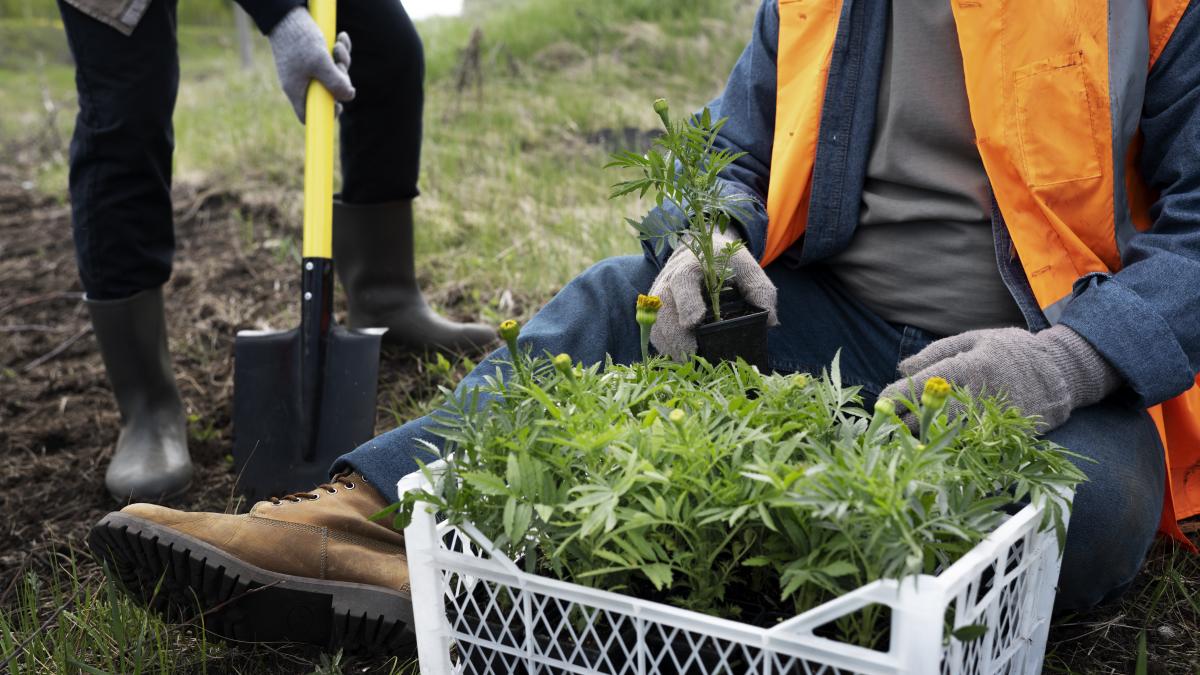 muncitori-sezonieri-lucratori-temporari_18677900