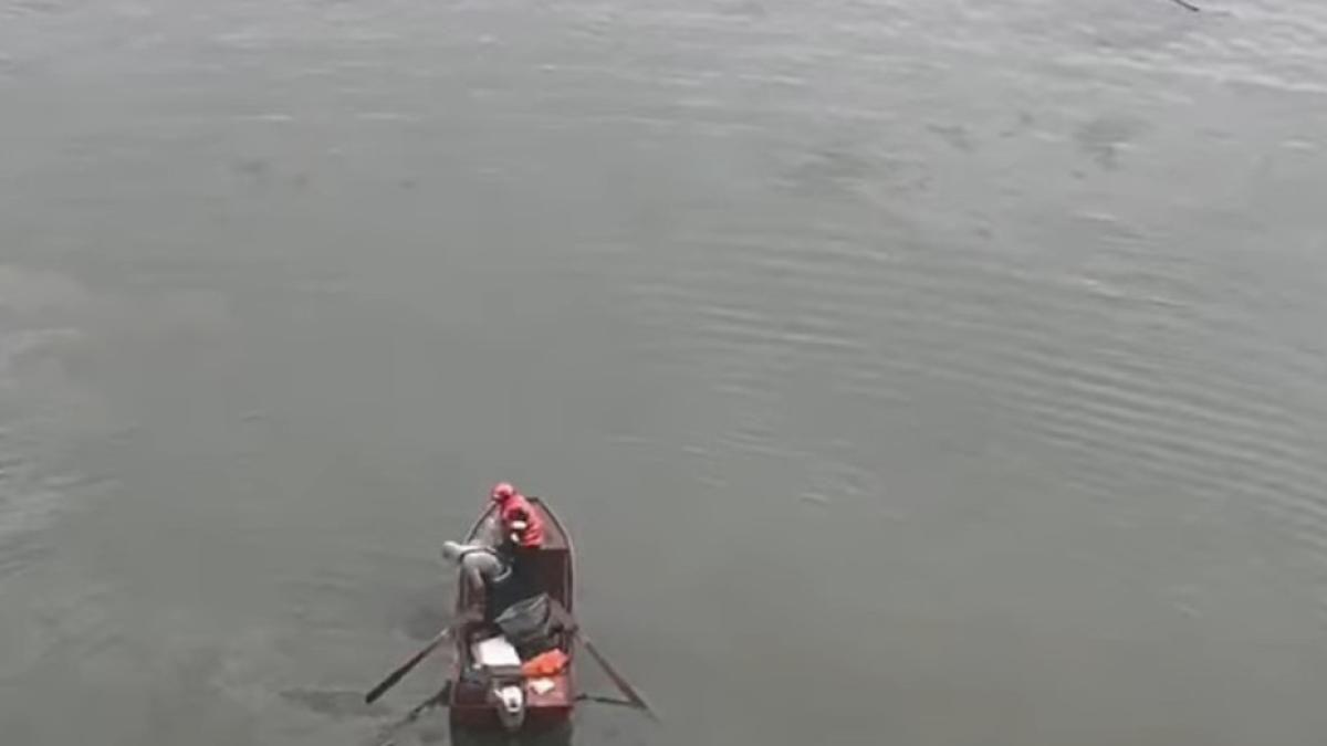 microbuz-cazut-in-dunare_71896900