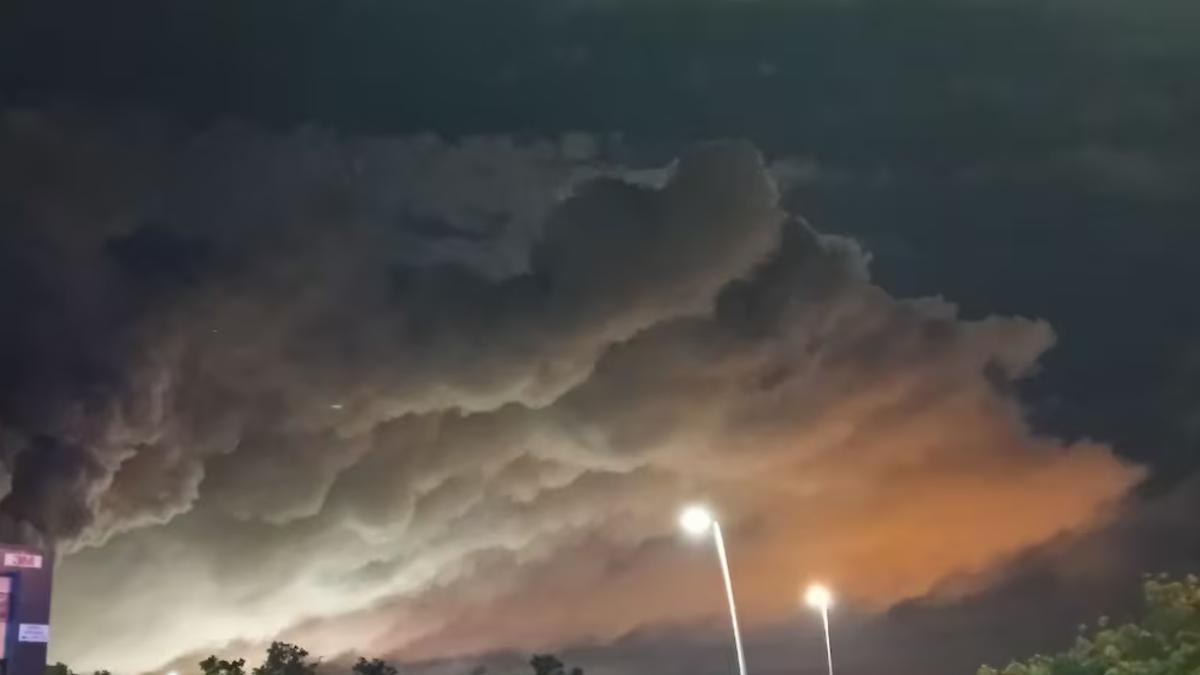 spania-nor-toxic-de-clor_23739300