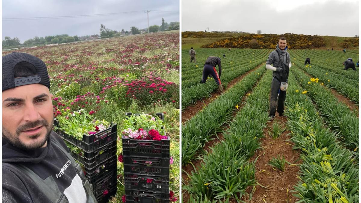 cosmin-roman-muncitor-camp-anglia_33115900