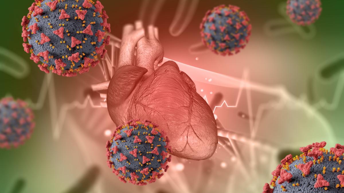 bacteria-comuna-care-iti-devasteaza-inima--cei-mai-multi-o-au_80233900_10097800