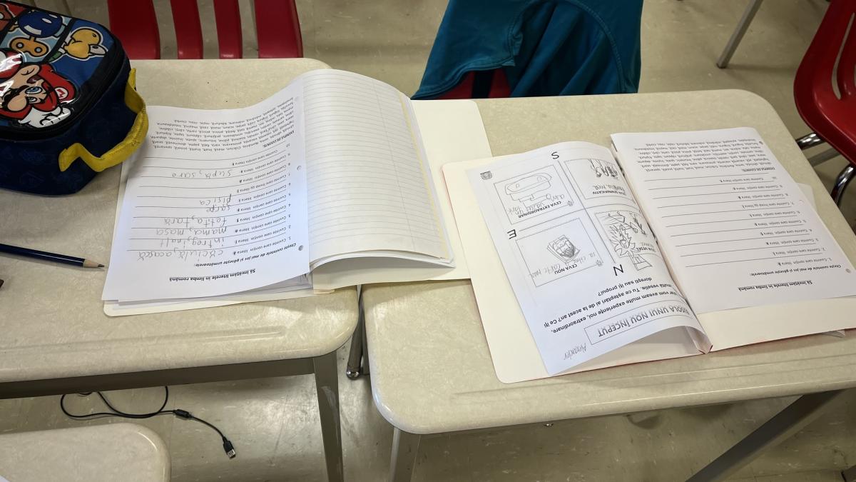 scoala-romaneasca-toronto---reportaj-partea-1---main_88313400