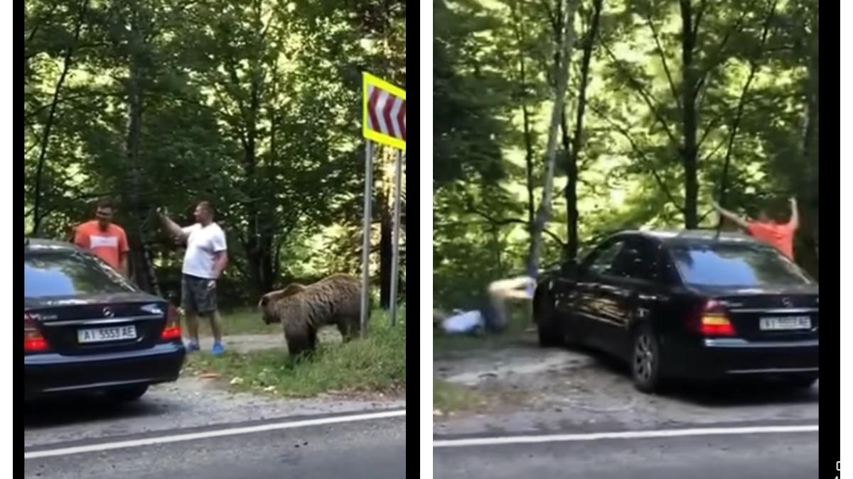 turist-transfagarasan_61798800