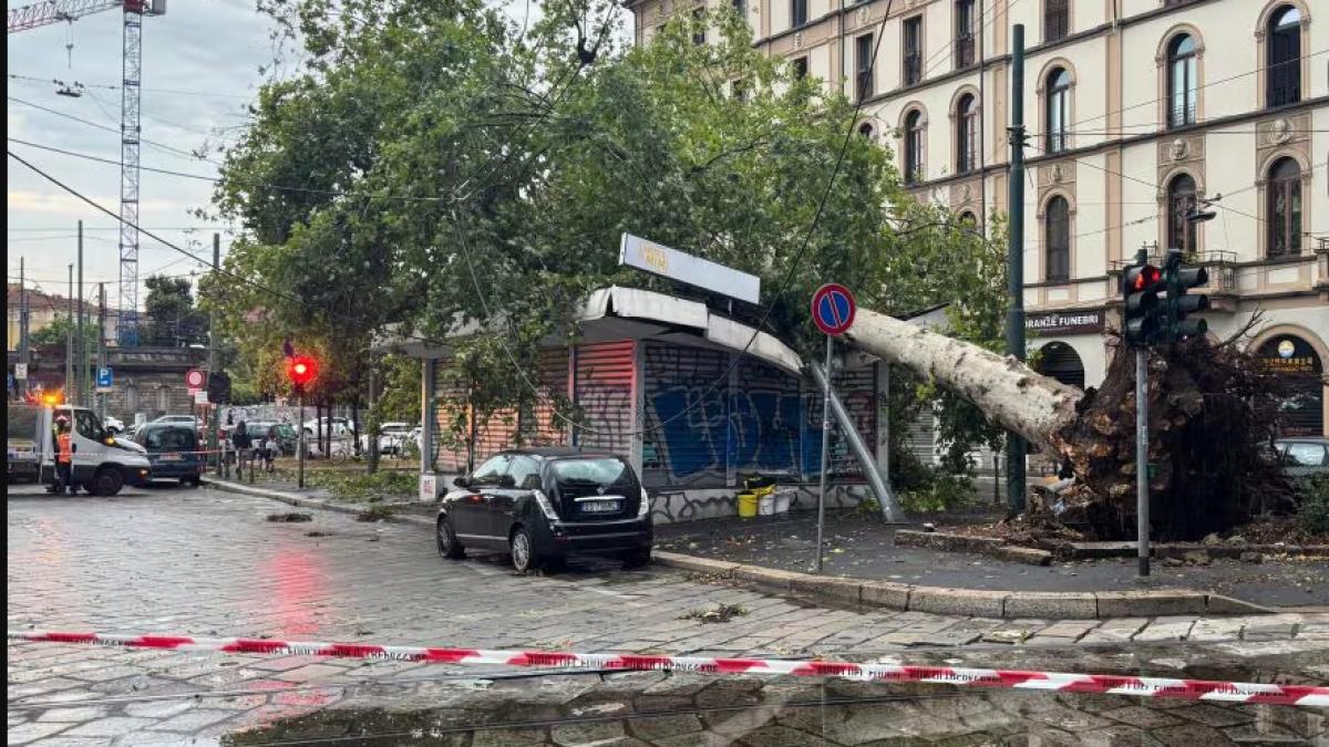 furtuna-milano_07581600