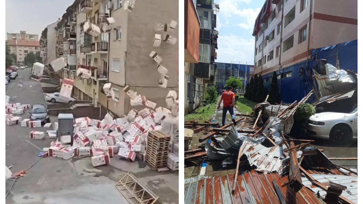 vijelii-satu-mare_00365500