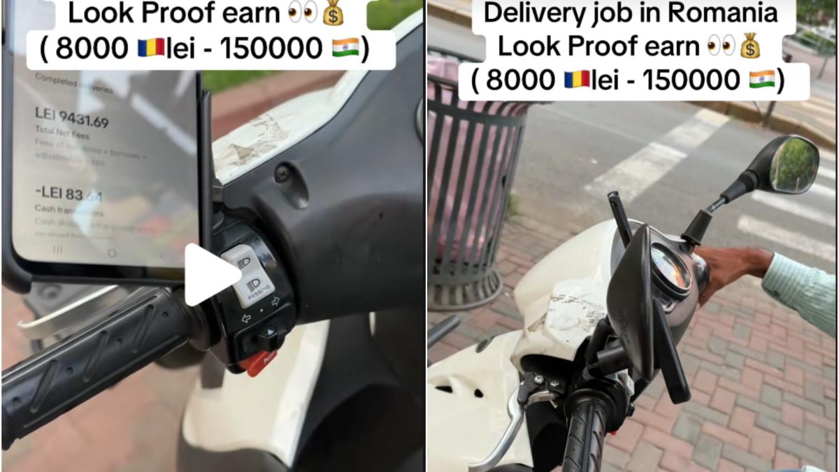 cat-castiga-livrator-indian_29435600