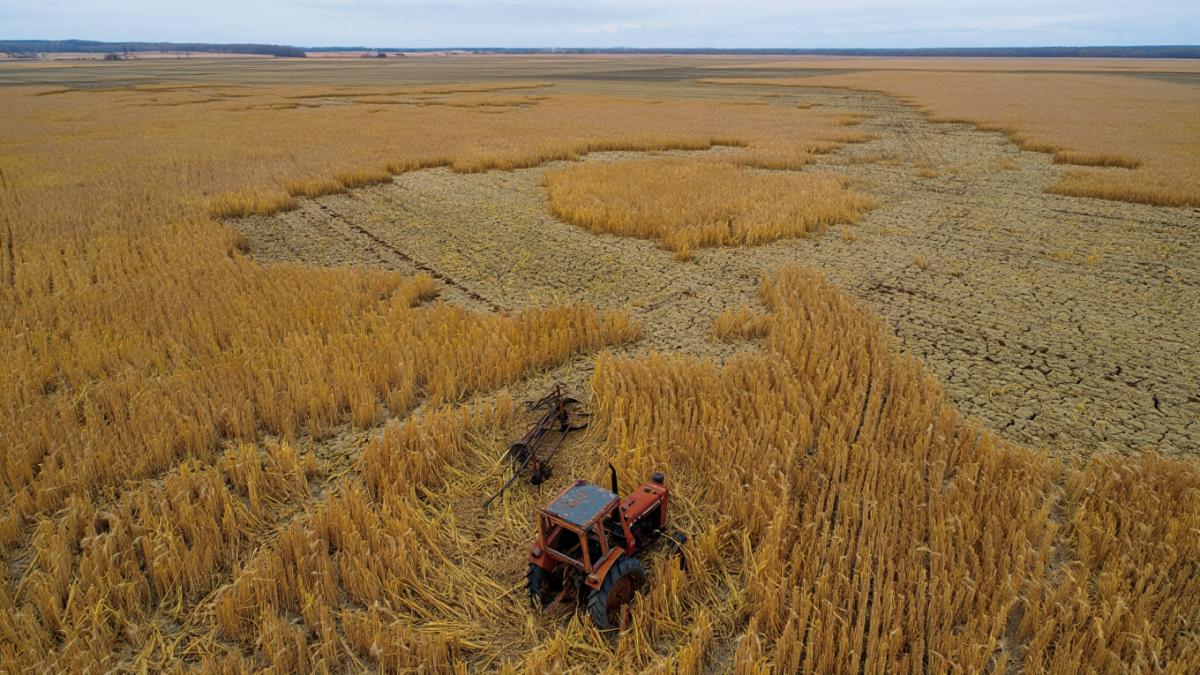 agricultura-seceta_88955000