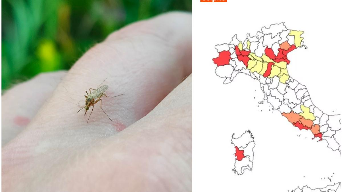 west-nile-italia-harta-infectii_14897700