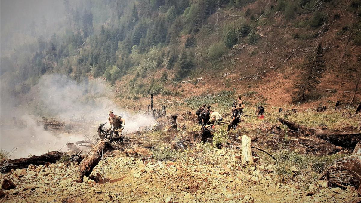 padurar_lemne_romsilva