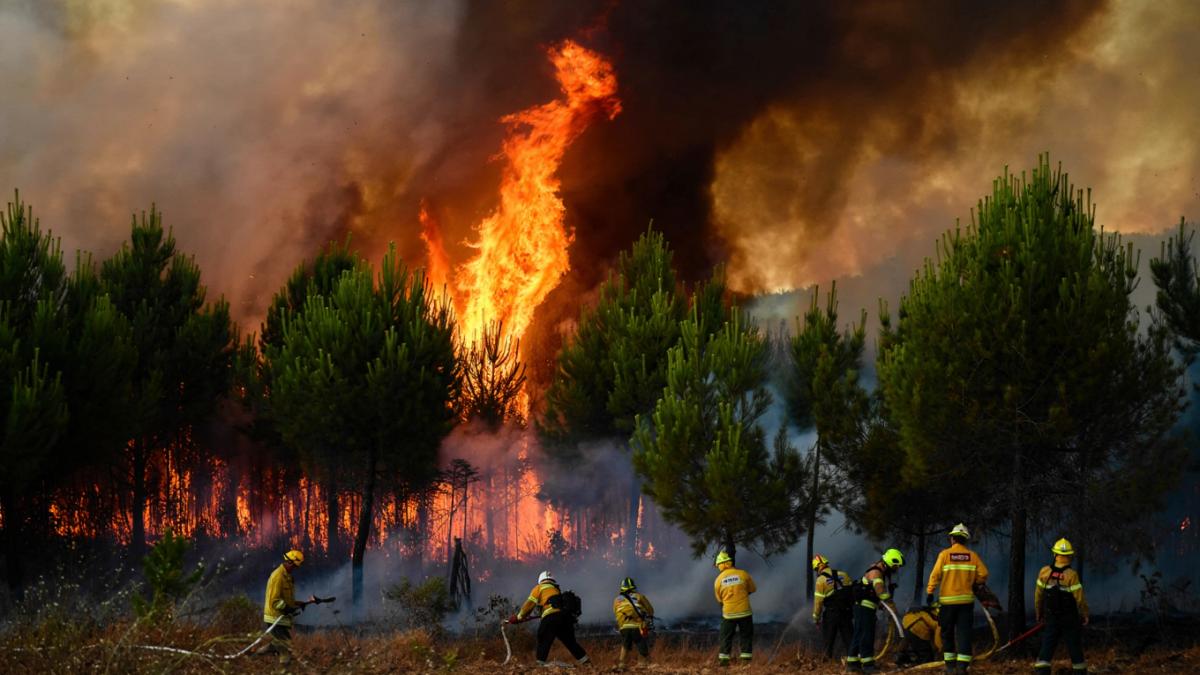 incendiu-padure-spania_02240600