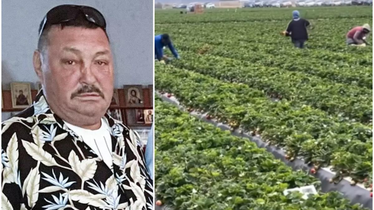 gheorghe-vranciu---roman-mort-camp-spania_70700100