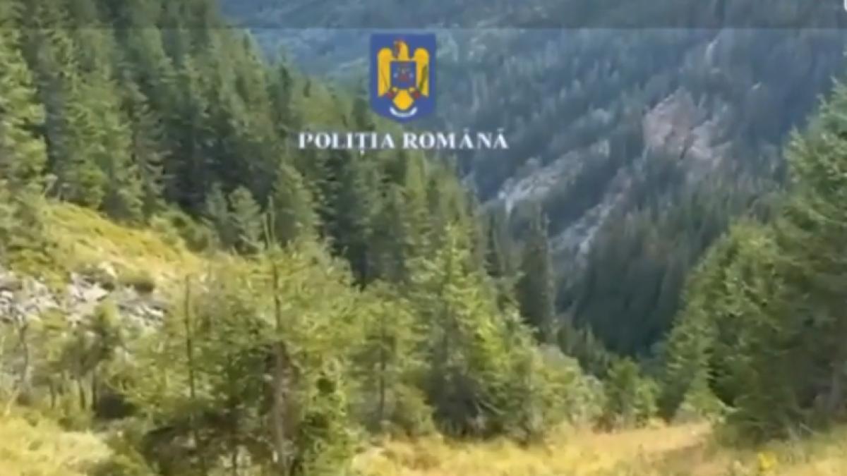 patru-tineri-morti-munte_52734800