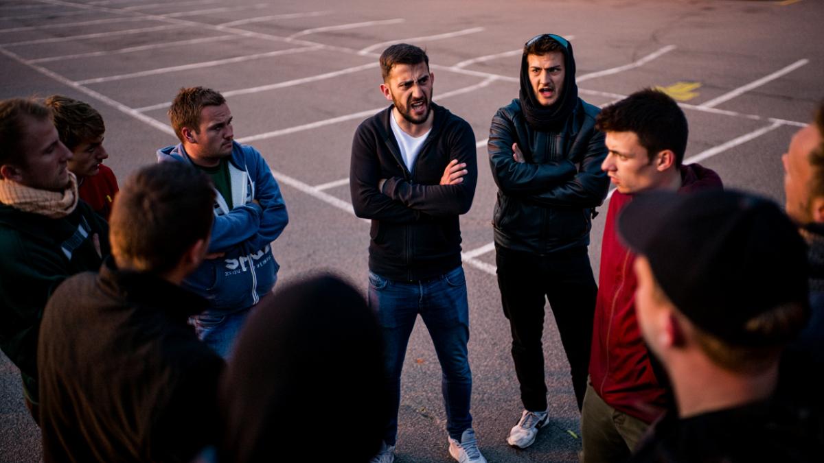 romani-italnire-in-parcare_41834400