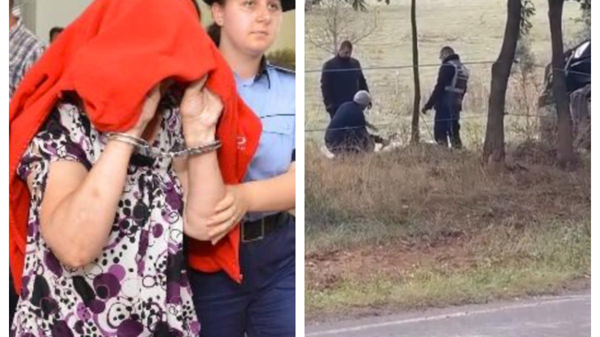 ana-gut-a-murit_01902600